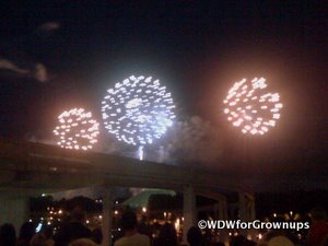 Fourth of July Fireworks from the Contemporary Resort