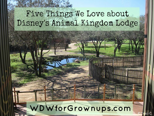 What do you love about Disney's Animal Kingdom Lodge?