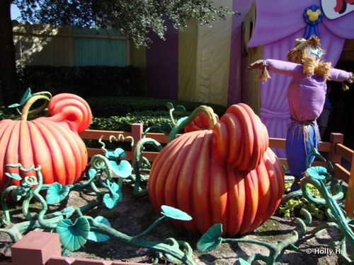 Giant Magical Pumpkins Grew