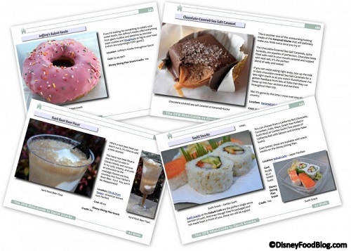 Check out the updated 'Disney Food Blog Guide to Epcot Snacks' e-book!
