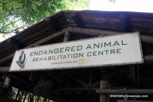 Animal Rehab Center on Pangani Trail