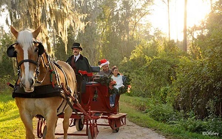 Book your holiday sleigh ride today!
