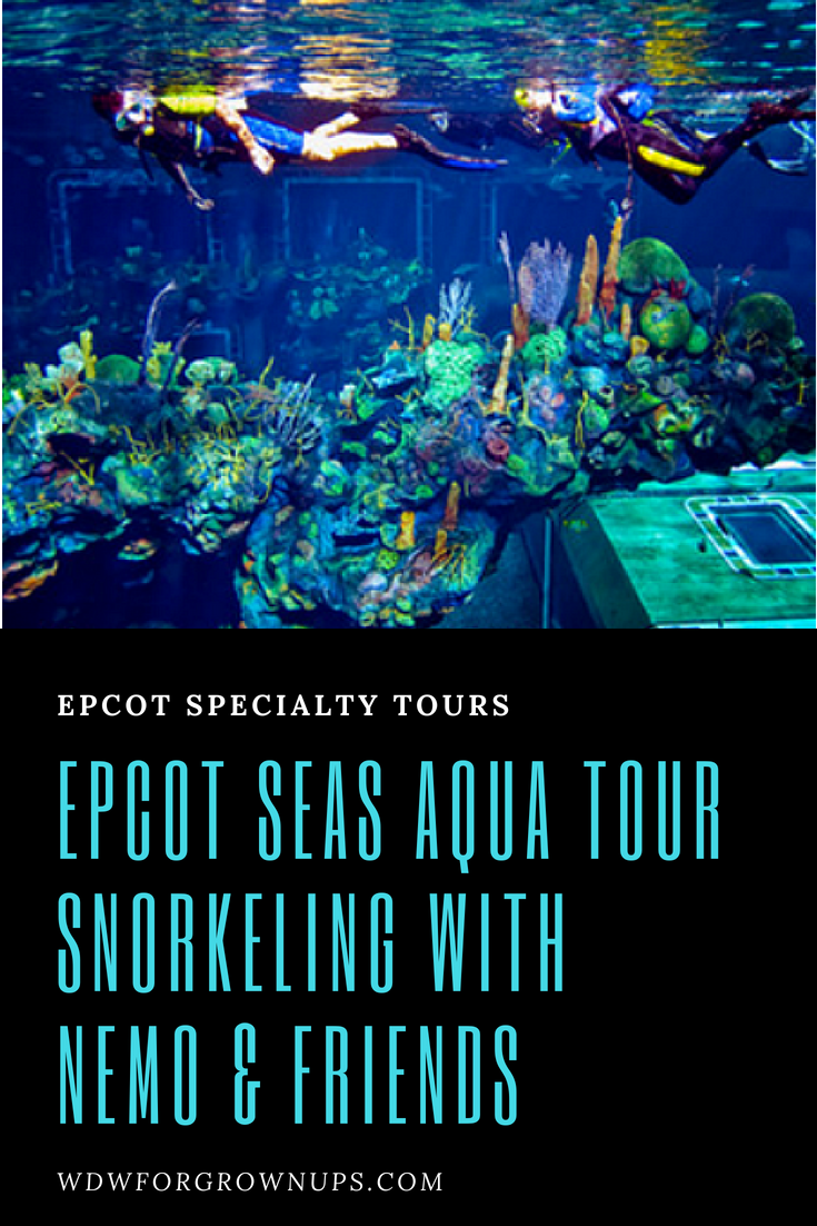 Snorkeling With Nemo &amp;amp; Friends At The Epcot Seas Aqua Tour