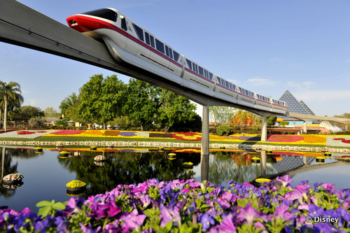 Spring Is In Bloom At Walt Disney World