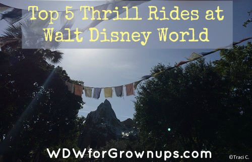 What is your favorite thrill ride at Walt Disney World? 