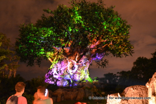 The Tree Of Life After Dark
