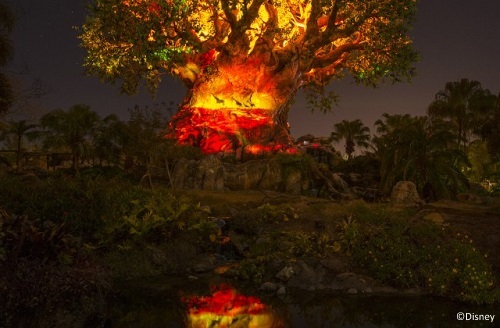 The Tree of Life at Disney's Animal Kingdom comes alive at night