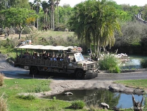 Custom-built ride vehicles take you on safari!