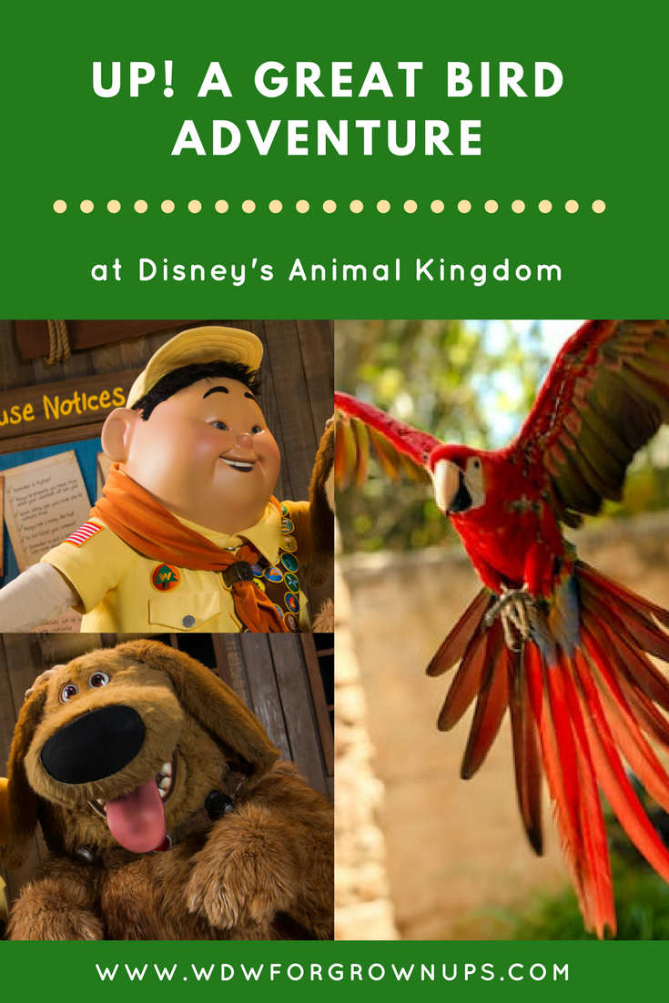 UP! A Great Bird Adventure at Disney's Animal Kingdom