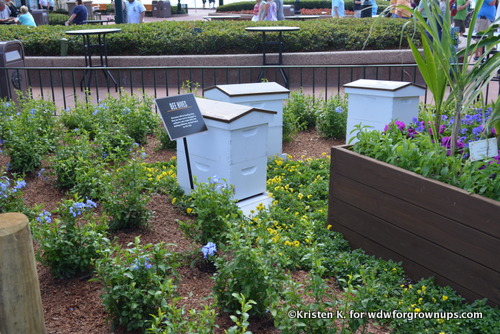 Bee Hives Support Farming Through Pollination