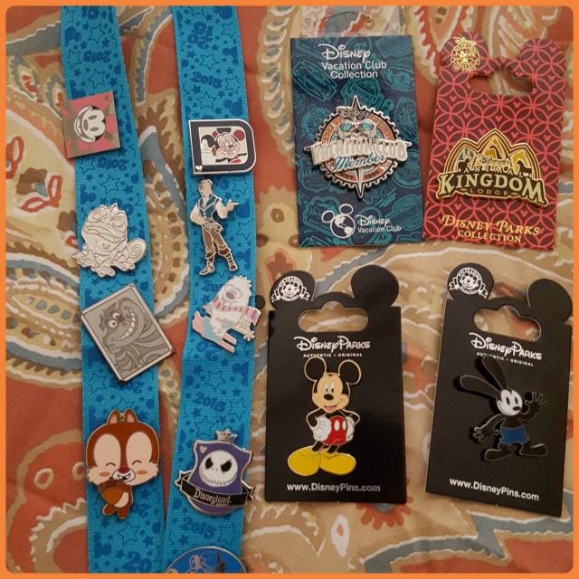My pins from the trip
