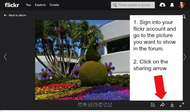 flickr-instructions-1.jpg