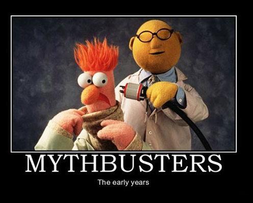 funny-muppets-meep-mythbustersc.jpg