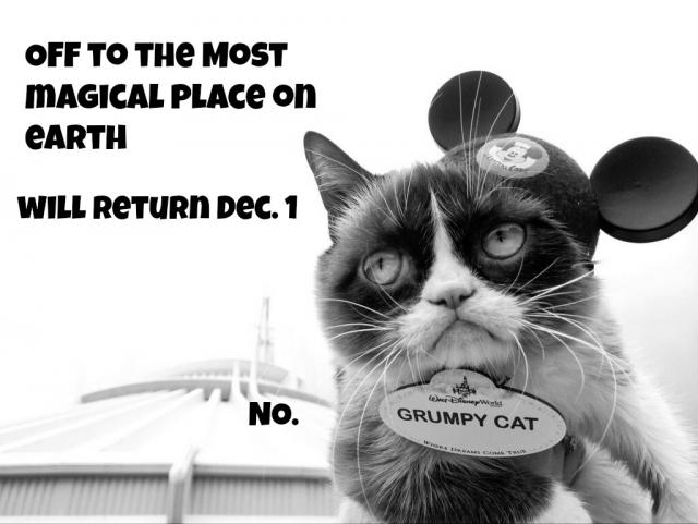 grumpy-cat-disney-world-name-tag.jpg