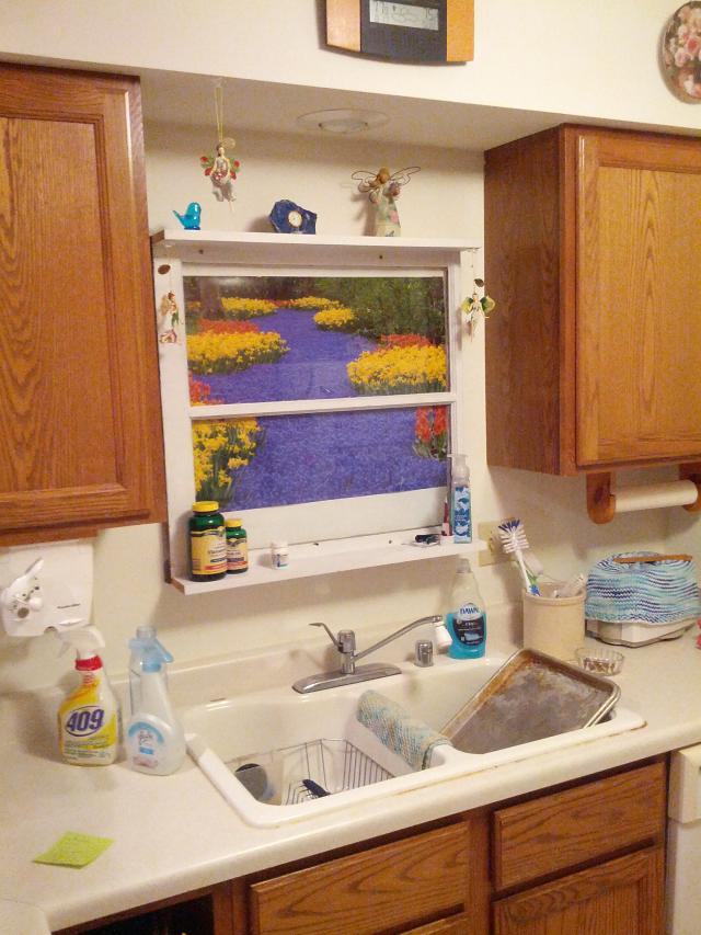 kitchen_window.jpg