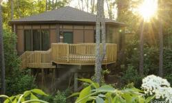 Walt Disney World Resort Leads the Way in Florida's Green Lodging