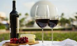 Details Released for the 2014 Epcot Food and Wine Festival Culinary Demonstrations and Beverage Seminars