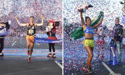 News For A New Year From Walt Disney World 