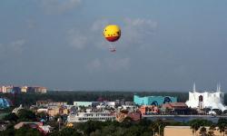 Disney Weddings: Characters In Flight by Sunsational Ceremonies