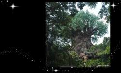 Meeting the Characters at Disney’s Animal Kingdom 