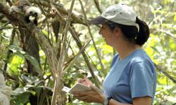 Animal Kingdom Biologist Nominated for Conservation Award