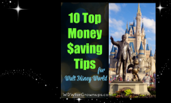 10 Top Money Saving Tips For Walt Disney World