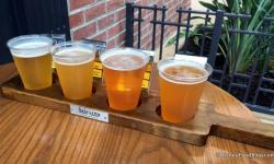 BaseLine Tap House Opens At Disney's Hollywood Studios