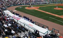 Spring Training at the ESPN Wide World of Sports Complex