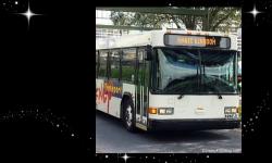 Woman Dies After Crash with Walt Disney World Resort Bus