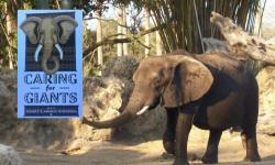Caring For Giants Tour at Disney's Animal Kingdom