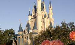 Walt Disney World Resort Reportedly Testing Premium Parking at the Magic Kingdom and Epcot