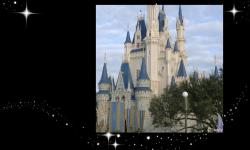 Several Road Improvements Planned for the Walt Disney World Resort