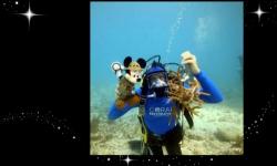 Disney Worldwide Conservation Fund Names 2014 Disney Conservation Heroes