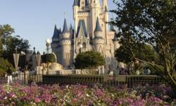Growth of Disney’s Theme Parks Means Stable Cash Flow for Company