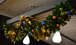 Disney's Contemporary Resort Holiday Decor Photo Tour
