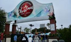 Disney Springs Christmas Tree Trail Photo Favorites