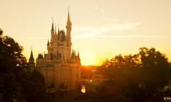 Disney Makes Donation to OneOrlando Fund Following Mass Shooting at Pulse Nightclub and Security is Increased at all Disney Properties