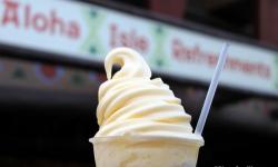 Top Treats to Keep You Cool this Summer at Walt Disney World