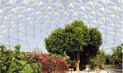 What To Do on a “No Kids” Day at Epcot