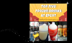 Top Five Frozen Drinks At Epcot