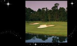 Disney Golf Offering Junior Golf Camps in December