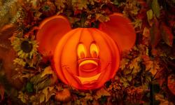 Fall Fun Arrive at Walt Disney World Beginning September 15th, 2020