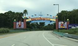 Disney World Might be Building a Gondola-Style Cable Car System on Property