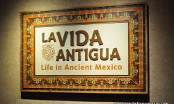 La Vida Antigua - Celebrating the Art and Artifacts of Ancient Mexico