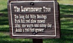 The Lawnmower Tree