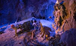 Mermaids Swim Into Pirates of the Caribbean Debut
