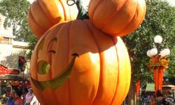 How Toontown's Closing Will Affect Mickey's Not So Scary Halloween Party