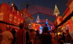 Favorite Holiday Activities at Walt Disney World [Facebook Fans] 