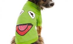 Disney Creating Fun Products for Animal Friends 