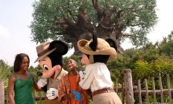 Mickey and Minnie Get A New Home at Disney's Animal Kingdom